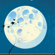 Image for article titled All the Science Fiction and Fantasy Books You Can't Afford To Miss In December!